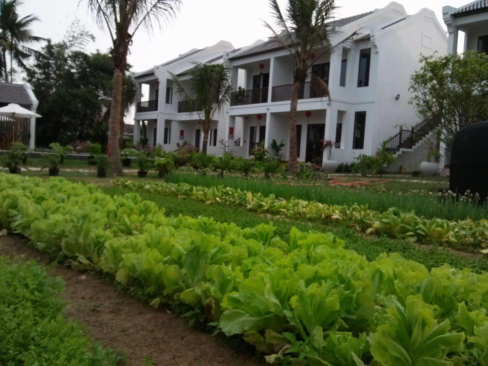 Gem Hoi An Villa Eksteriør billede